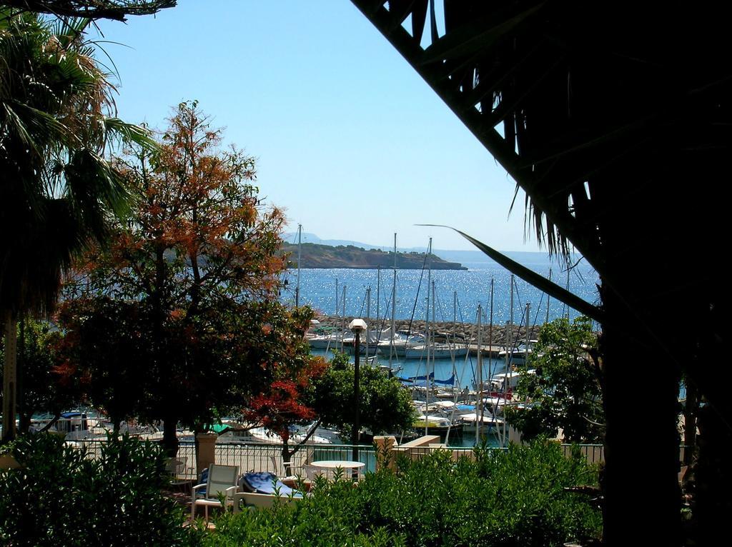 La Mimosa Guesthouse Palma de Mallorca Ngoại thất bức ảnh