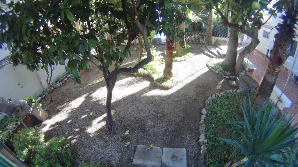 La Mimosa Guesthouse Palma de Mallorca Ngoại thất bức ảnh